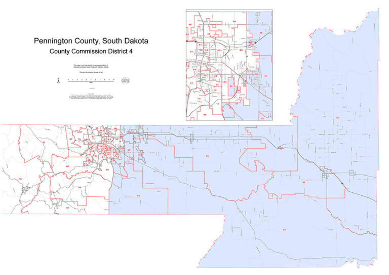 District 4 Voter Map